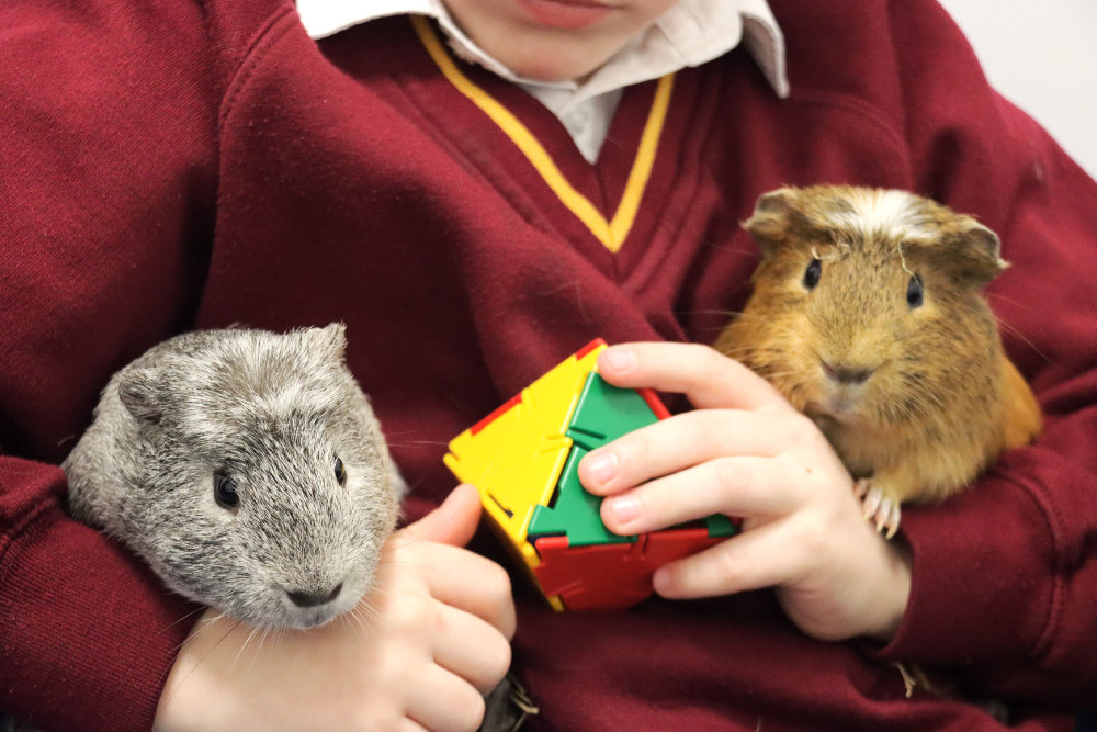 Individual and group sessions